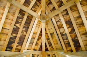 view of mold in an attic