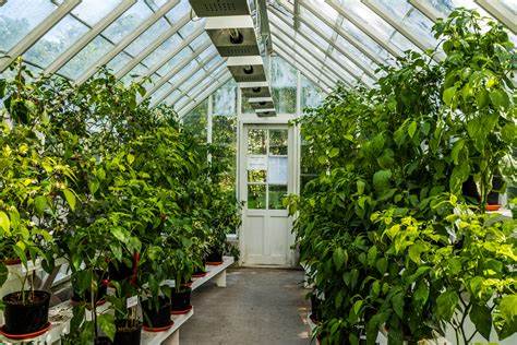 Greenhouse Garden